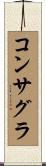 コンサグラ Scroll