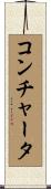 コンチャータ Scroll