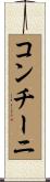 コンチーニ Scroll