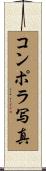 コンポラ写真 Scroll