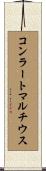 コンラートマルチウス Scroll