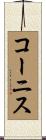 コーニス Scroll