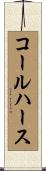 コールハース Scroll