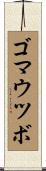 ゴマウツボ Scroll