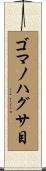 ゴマノハグサ目 Scroll