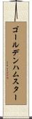 ゴールデンハムスター Scroll