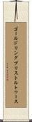 ゴールドリング・ブリストルトゥース Scroll