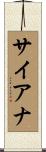 Siana Scroll