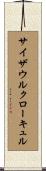 サイザウルクローキュル Scroll