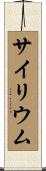 サイリウム Scroll