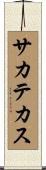 サカテカス Scroll