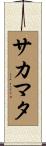 サカマタ Scroll