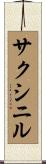 サクシニル Scroll