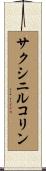 サクシニルコリン Scroll