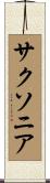 サクソニア Scroll