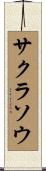 サクラソウ Scroll