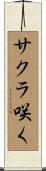 サクラ咲く Scroll