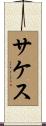 Saketh Scroll