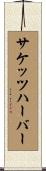 サケッツハーバー Scroll