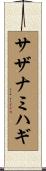 サザナミハギ Scroll