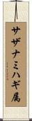サザナミハギ属 Scroll