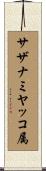 サザナミヤッコ属 Scroll