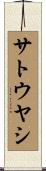 サトウヤシ Scroll