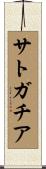 サトガチア Scroll