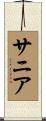 サニア Scroll