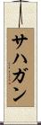Sahagun Scroll