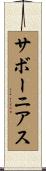 サボーニアス Scroll