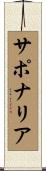 サポナリア Scroll