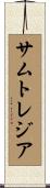 サムトレジア Scroll