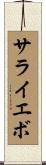 サライエボ Scroll
