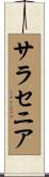 サラセニア Scroll