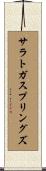サラトガスプリングズ Scroll