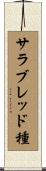 サラブレッド種 Scroll