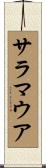 サラマウア Scroll