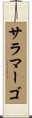 サラマーゴ Scroll