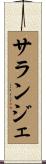 サランジェ Scroll