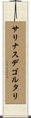 サリナスデゴルタリ Scroll