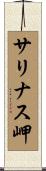 サリナス岬 Scroll