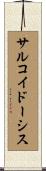 サルコイドーシス Scroll