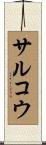 サルコウ Scroll