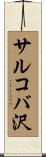 サルコバ沢 Scroll