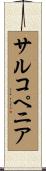 サルコペニア Scroll