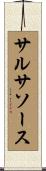 サルサソース Scroll