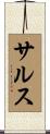 サルス Scroll