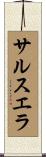 サルスエラ Scroll