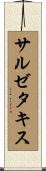 サルゼタキス Scroll